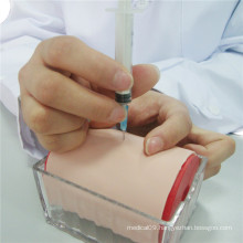 Nursing Training Multifunctional Injection Practice Model